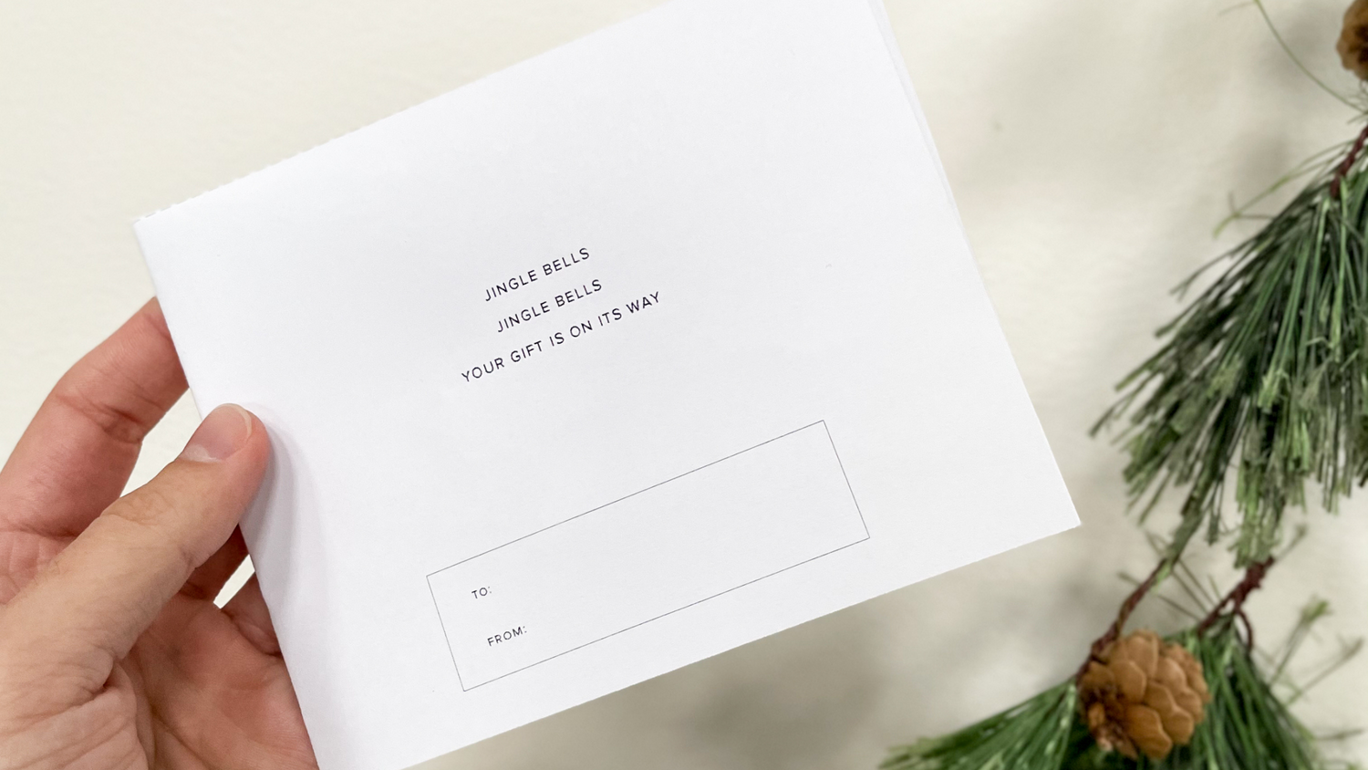 CARA LOREN PRE-ORDER STATUS UPDATE - GIGI PIP