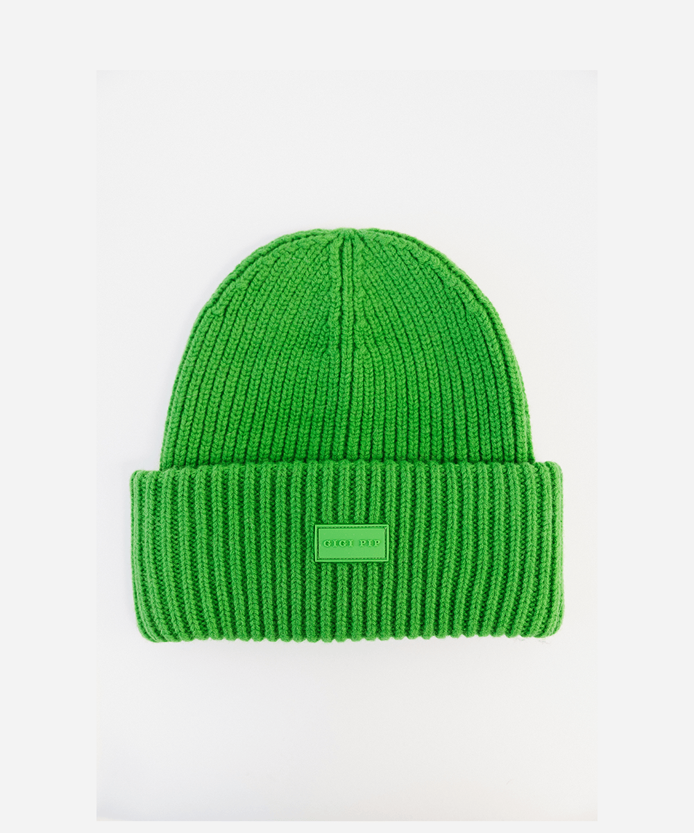 Evergreen colored beanie with a logo on a white background #color_evergreen