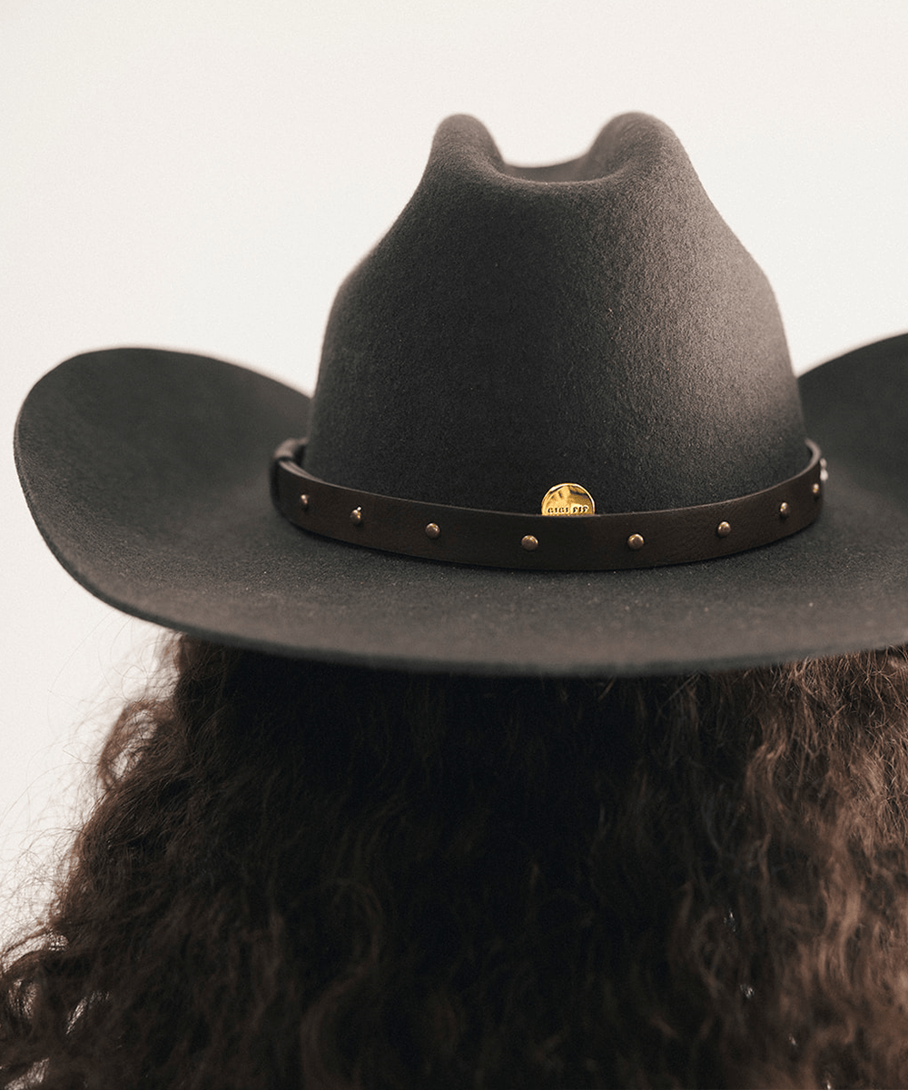 Brown cowboy hat with a leather band on a white background #color_dark brown - brass