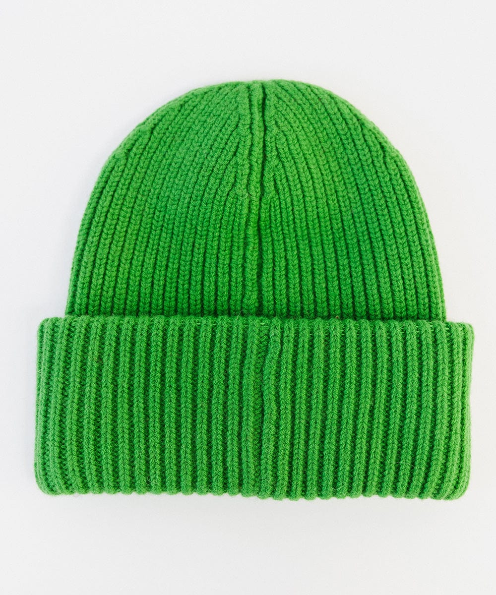 An evergreen colored ribbed beanie on a white background #color_evergreen