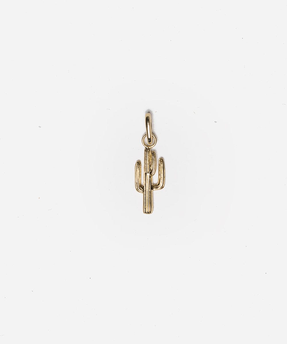 A gold cactus hat charm on a white background #color_gold