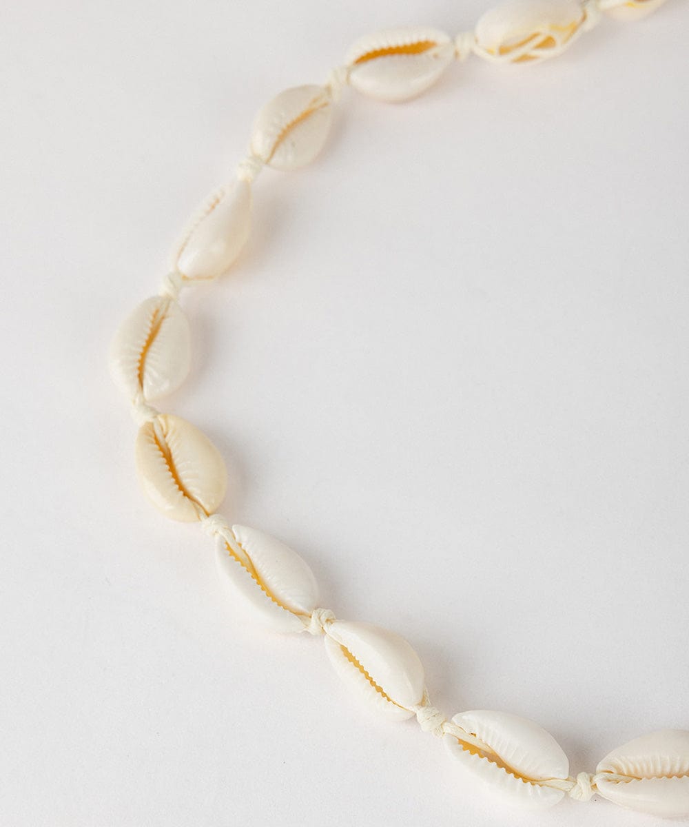 A white shell hat band on a plain background #color_white