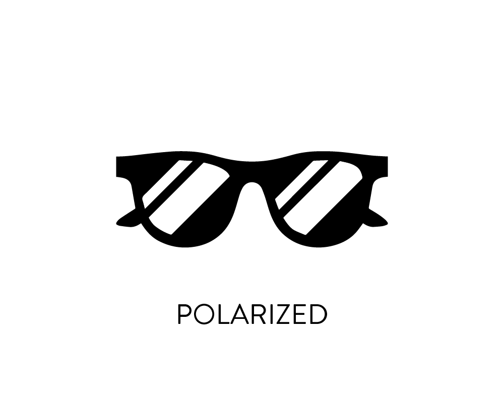 polarized icon