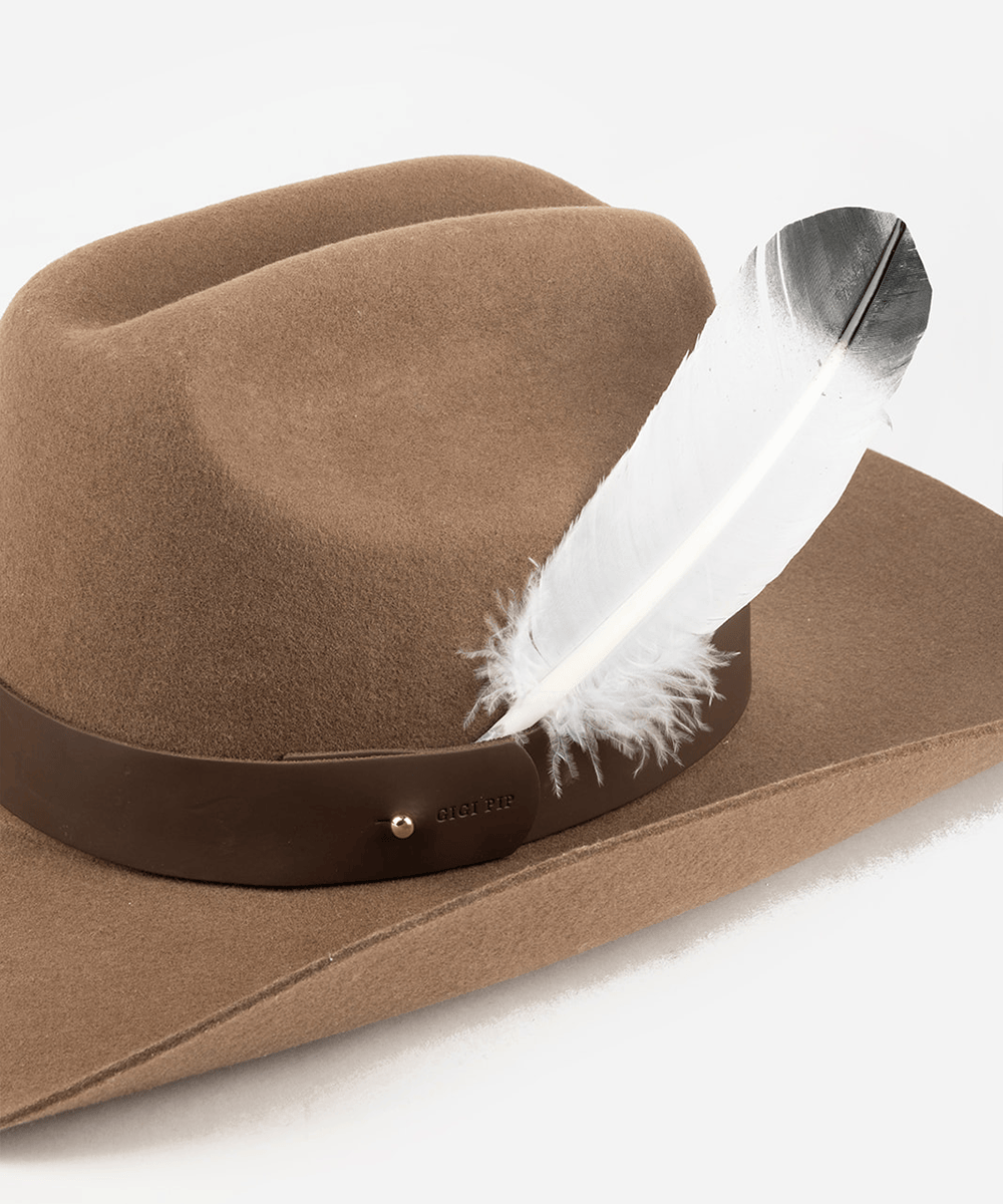 Brown cowboy hat with a band and a white with black tip hat feather on a plain background #color_white-black