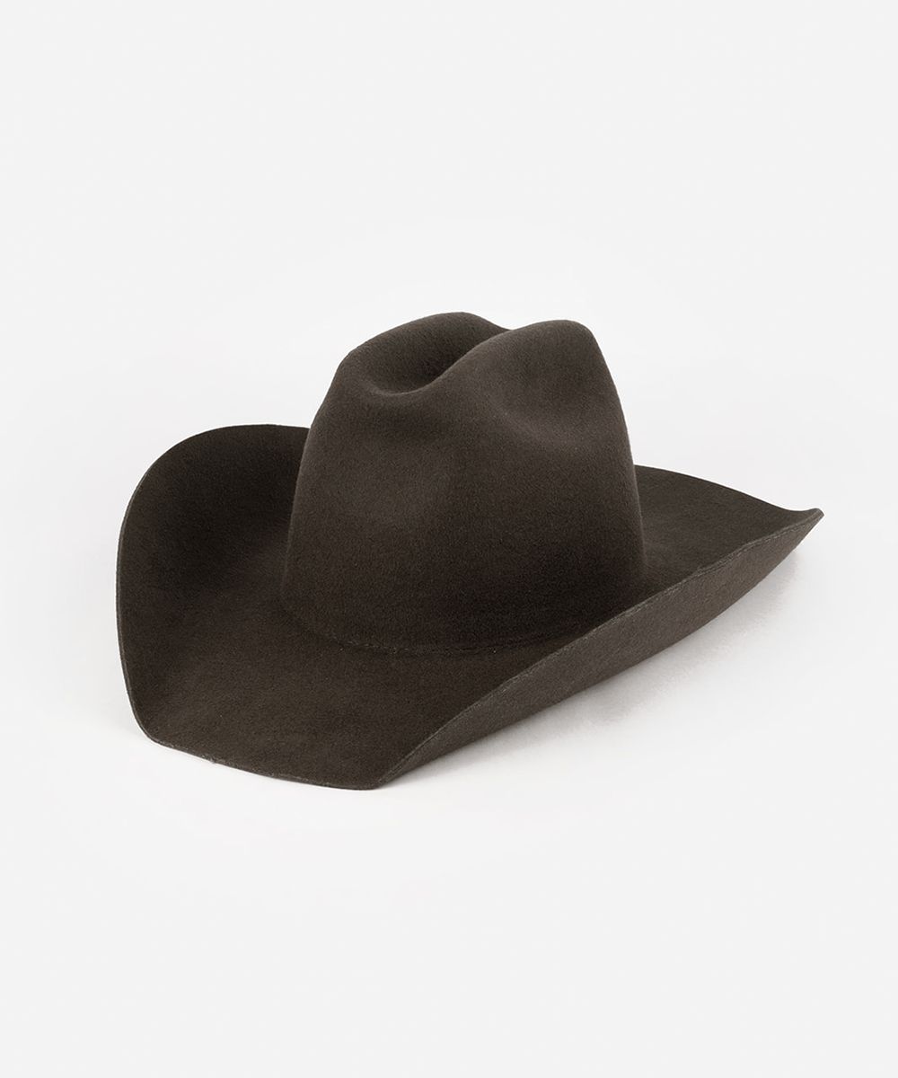 Dark brown cowboy hat on a white background #color_dark brown