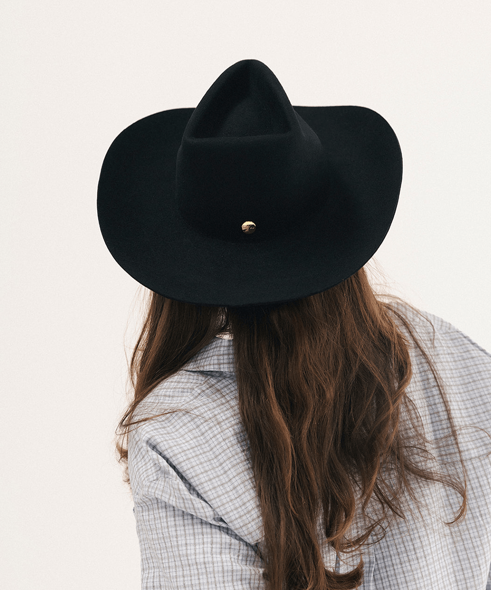 A person shown from behind wearing a black wide-brim fedora hat with a small gold button detail, paired with a light blue and white checkered shirt against a plain off-white background #color_black