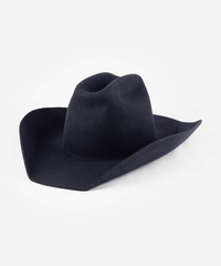 A dark navy blue felt cowboy hat photographed from a side angle against a clean white background #color_navy